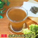 国産ふきのとうパウダー20g
