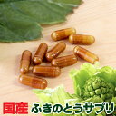 国産ふきのとうサプリメント