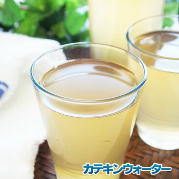 カテキンウォーター70g スポーツドリンク ドリンク パウダー 粉末 ダイエット 熱中症対策