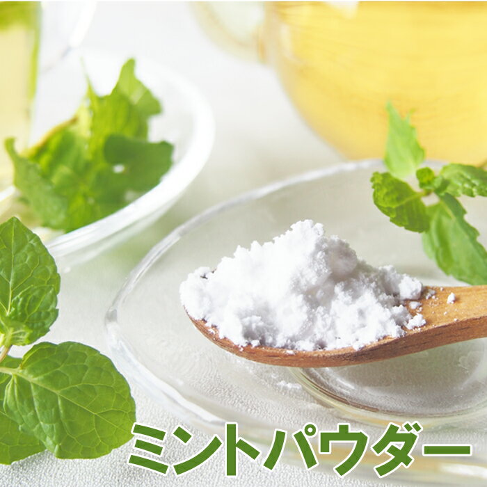 ミントパウダー50g ペパーミント メントール メンソール 濃縮パウダー 製菓材料 食品添加物 食用 飲料 ..