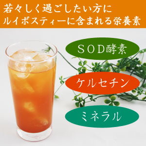 ルイボスティーパウダー60g　粉茶