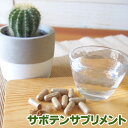 サボテンサプリメント30粒 食用 ウチワサボテン ノパール ノパル センニンサボテン カプセル アミノ酸 美容 健康 カクタス