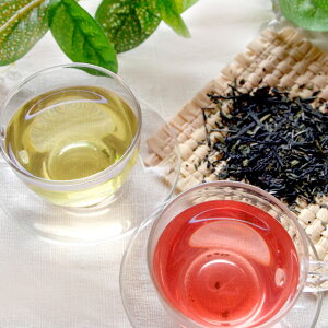 赤い日本茶・サンルージュ50g 色が変わる 国産 緑茶