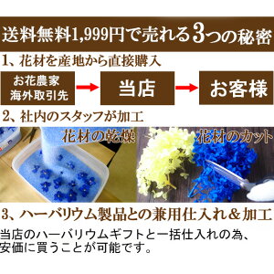 手作りハーバリウムキット植物標本花ギフト自分で作るオリジナルボトルドライフラワーハーバリウムオイル付き
