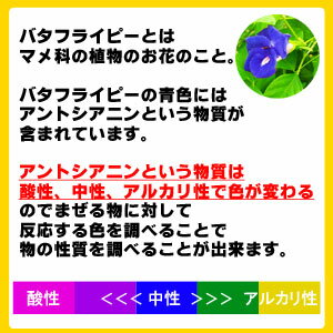 人とかぶらない自由研究 小学5 6年生向け夏休みの実験キットのおすすめプレゼントランキング 予算3 000円以内 Ocruyo オクルヨ