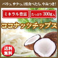 食品 ドライフルーツ・ナッツ ココナッツチップス