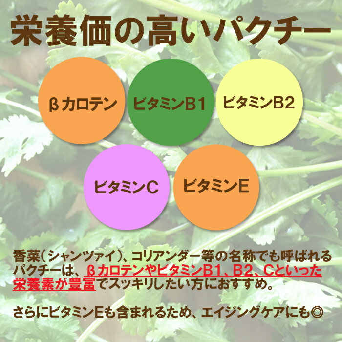 �ѥ������ѥ�����50g ���ꥢ������꡼�� ʴ�� ��� �����˥å� �������� �٥ȥʥ����� ������� ���ѥ��� �ϡ��� Ĵ̣��