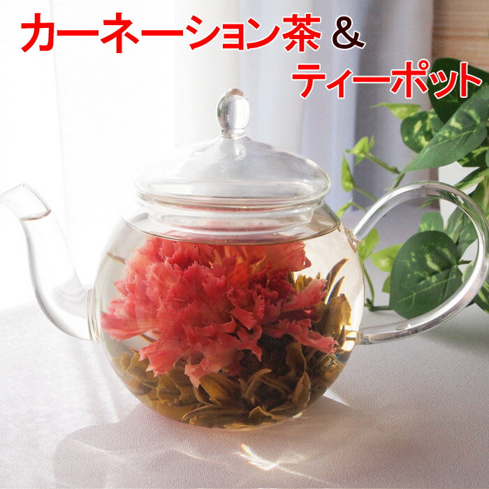 お花のつぼみとティーポット 送料無料 花 カーネーション茶 工芸茶 お花が出てくるお茶 母の日 プレゼント 実用的 花以外 飲み物 誕生日 お祝い バースデー 中国茶 花 花茶 フラワーティー おすすめ ガラスティーポット付き 2024 md