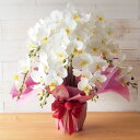 胡蝶蘭 7本立ち こちょうらん コチョウラン 白 鉢植え 大輪 光触媒加工 アーティフィシャルフラワー 1鉢 メッセージカード対応 アーティフィシャルフラワー 送料無料 お祝い 開店祝い 開業祝い 新築祝い 生花に近い造花 観葉植物 プレゼント 誕生日