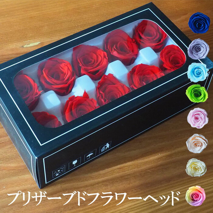 プリザーブドフラワーヘッド ローズ 8輪 10輪 21輪 菊 バラ 花材 手作りギフト向け アレンジメント ア..