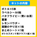 自由研究バタフライピーキット 自分で作る オリジナル ボトル 自由研究 自由研究おたすけキット 夏休み 工作キット 小学生 高学年 中学年 男の子 女の子 理科 おもしろ実験 簡単 3