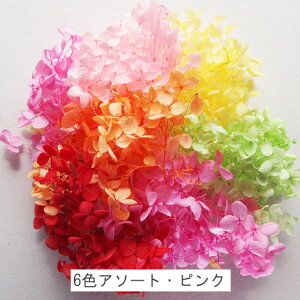 アジサイ・ヘッドプリザーブドフラワー約10g