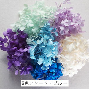 アジサイ・ヘッドプリザーブドフラワー約10g
