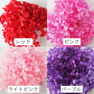 アジサイ・ヘッドプリザーブドフラワー約10g