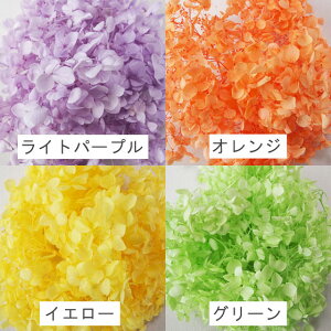 アジサイ・ヘッドプリザーブドフラワー約10g