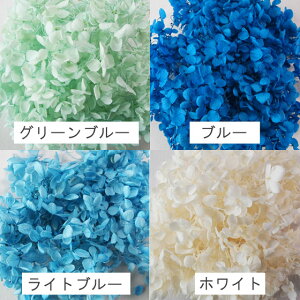 アジサイ・ヘッドプリザーブドフラワー約10g