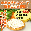 やさい生酵素サプリメント90粒(約1ヶ月分)