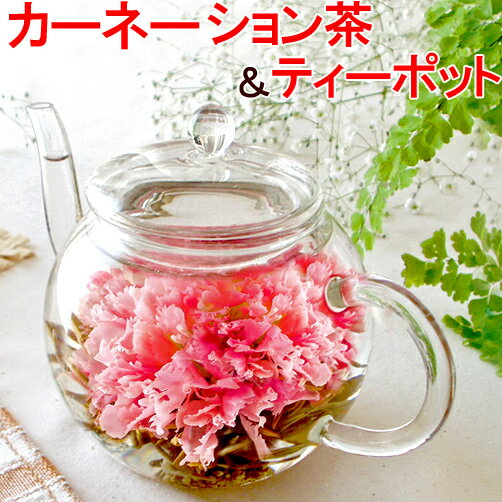 母の日ギフト お花のつぼみとティーポット 送料無料 カーネーション茶 母の日プレゼント 工芸茶 花 花茶 おすすめ ガラスティーポット付き 着日指定OK 母の日2021 md