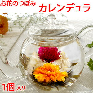 花 ギフト 2022 お花のつぼみとティーポット 送料無料 花 カーネーション茶 工芸茶 誕生日 お祝い 記念日 バースデー 退職 送別 還暦 古希 中国茶 花 花茶 フラワーティー おすすめ ガラスティーポット付き md