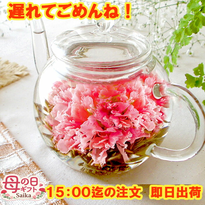 即日出荷 遅れてごめんね！母の日 ギフト 花 お茶 工芸茶 カーネーション茶 ティーポット付き or 工芸茶単品 フラワーティー プレゼント 実用的 おしゃれ 中国茶 花茶 ガラスポット付き 送料無料