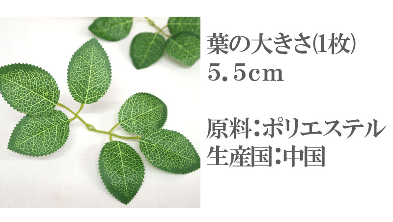 �դ�¤��50�� �����ƥ����ե������ե� �դä� �ե�����󥸥���