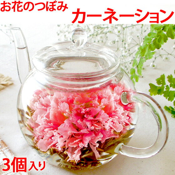 母の日 カーネーション茶 お花のつぼみとティーポット プレゼント 送料無料 花 カーネーション茶 工芸茶 お花が出てくるお茶 実用的 花以外 飲み物 誕生日 お祝い バースデー 中国茶 花 花茶 フラワーティー おすすめ ガラスティーポット付き 2024 ははの日 md