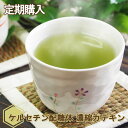 【送料無料】グリーン モンスター ダイエット 14 in 1 緑茶カテキン + 56 錠 (2 週間分)【韓国製 】