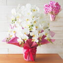 母の日 ギフト 胡蝶蘭 7本立ち 3本立ち ピンク 白 鉢植え 光触媒加工 アーティフィシャルフラワー 1鉢 メッセージカード対応 アーティフィシャルフラワー ...