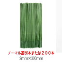 chinatea:10007924のサンプル画像3