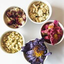 香る花茶 1,300円〜 ジャスミン スズラン ブルーロータス 蓮 カーネション 牡丹 ドライフラワー フラワーティー ハーブティー ハス ぼたん ノンカフェイ...