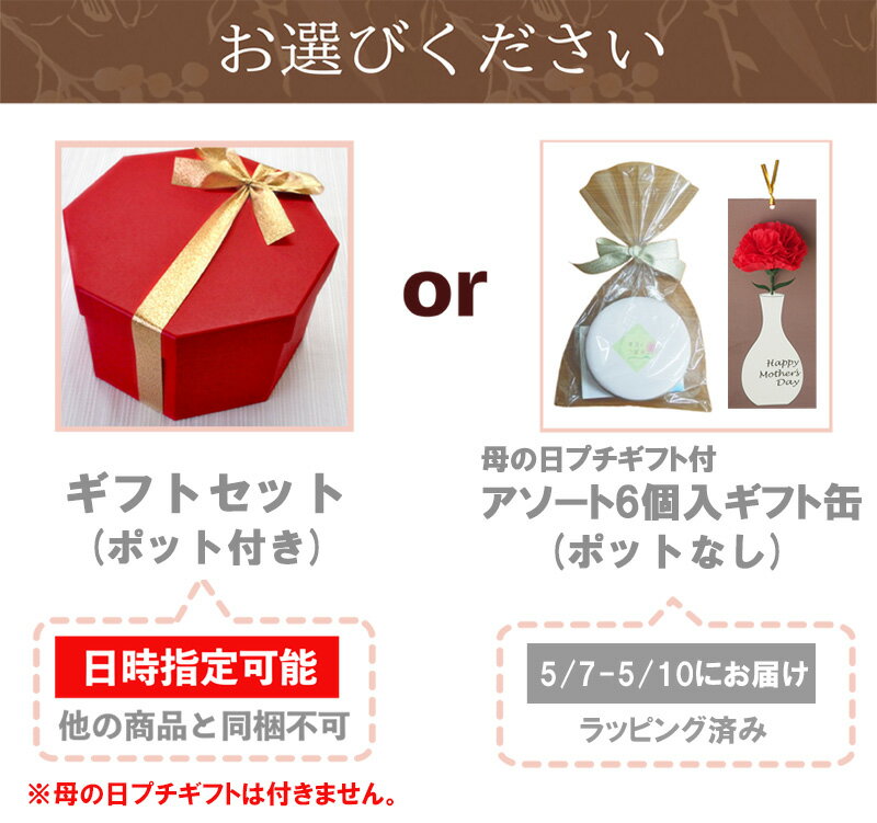 母の日 ギフト 花 お茶 工芸茶 カーネーション茶 ティーポット付き or 工芸茶単品 フラワーティー プレゼント 実用的 おしゃれ 中国茶 花茶 ガラスポット付き 送料無料