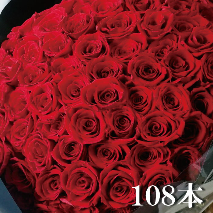 �ץꥶ���֥ɥե� ������ ��« 108�� �֤��Х� ���٤��ܿ� �ץ��ݡ��� ��ǰ�� �뺧�� ���ե� ������ �ץ쥼��� ��� �Х�« ����̵��