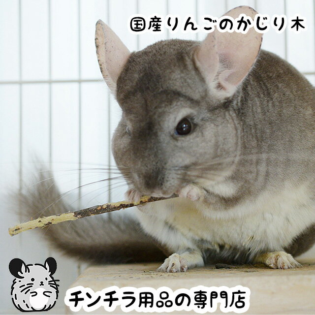 国産りんごのかじり木100gチンチ...