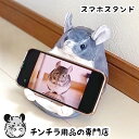 チンチラのぬいぐるみスマホスタンド 玄関収納にも使えます 鍵入れ 小物入れ ハンコ入れ 人間用のチンチラグッズ 雑貨 プレゼント かわいいグッズ 部屋んぽ動画に(4)