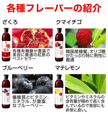 【全12種お試し3本セット】紅酢バイタルプラス ホンチョ 900ml モヒートレモン サングリアブドウレモン キウイグレープフルーツ トロピカルオレンジ お酢 マテレモン ザクロ クマイチゴ ブルーベリー 野菜 バナナパインアップル イチゴザボン 青りんご