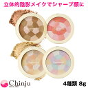 【ネコポス速達便】 ザセム the SAEM センムル ルミナスマルチハイライター シェーディング 8g Luminous Multi Highlighter Multi-Shading ザ セム 韓国コスメ メイクアップ 韓国化粧品