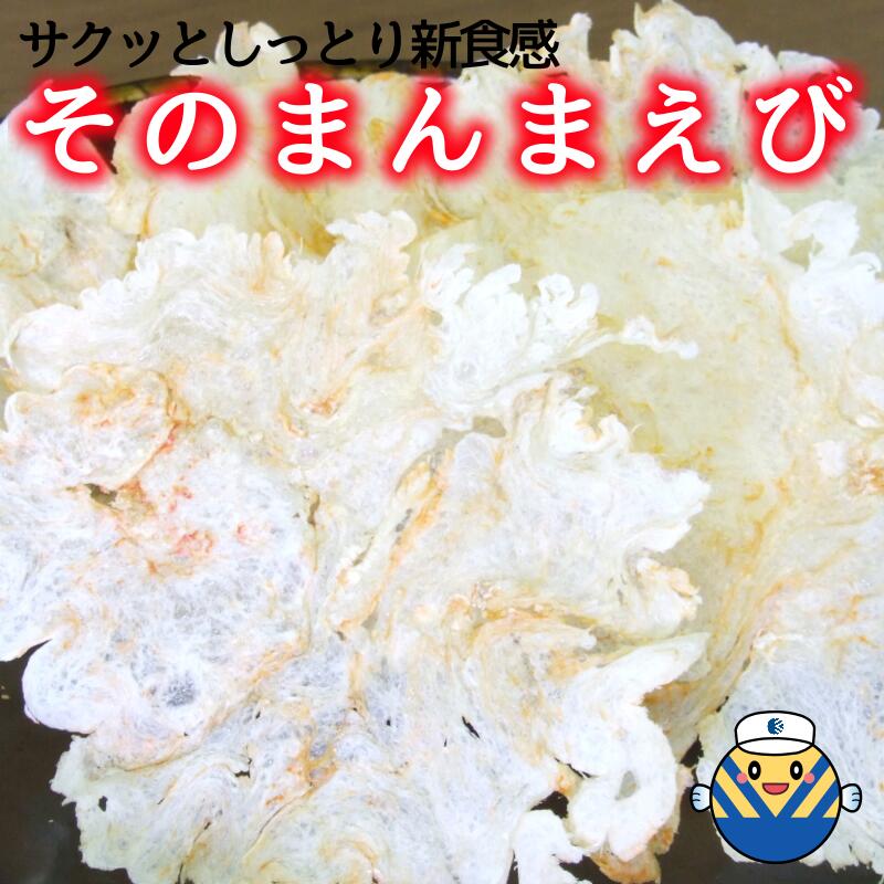 【当店オススメ】そのまんまえび 10g×10個 送料無料 サ