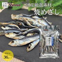 めざし 国産 36g 焼きめざし 珍味 コンビニ定番 お手軽 おつまみ キリリと塩味 お酒のつまみ 魚 珍味 家飲み 珍味工房しのや