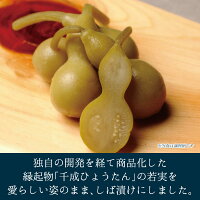 ひょうたん業務用(白)盛付け例