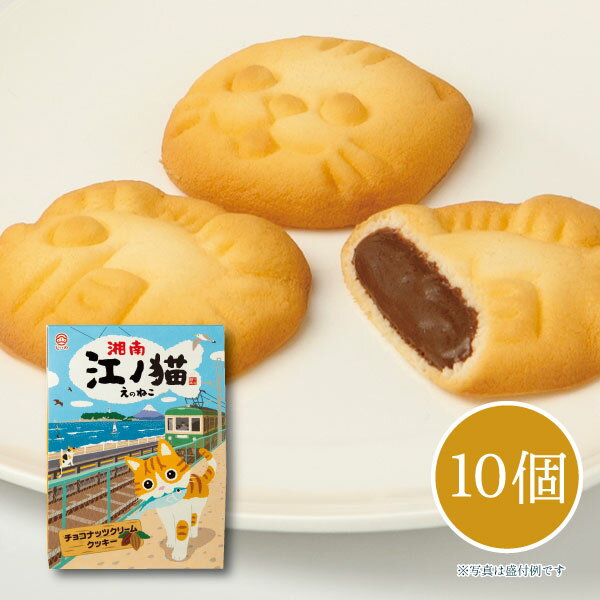 ねこ 猫 クッキー 江ノ島 お土産 可愛い しいの食品 湘南 江ノ猫(チョコナッツクリームクッキー） 10個入