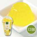 【メーカー直送】伊豆ニューサマーオレンジゼリー 12個 ゼリー お土産 伊豆 しいの食品 お取り寄せ