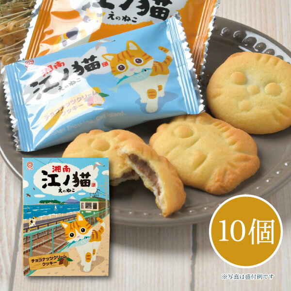 しいの食品 湘南 江ノ猫(チョコナッツクリームクッキー） 10個入 ねこ 猫 クッキー 江ノ島 お土産 可愛い お取り寄せ