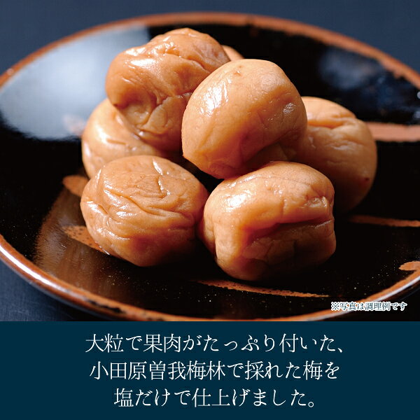 【メーカー直送】 曽我の梅 280g お土産 お取り寄せ