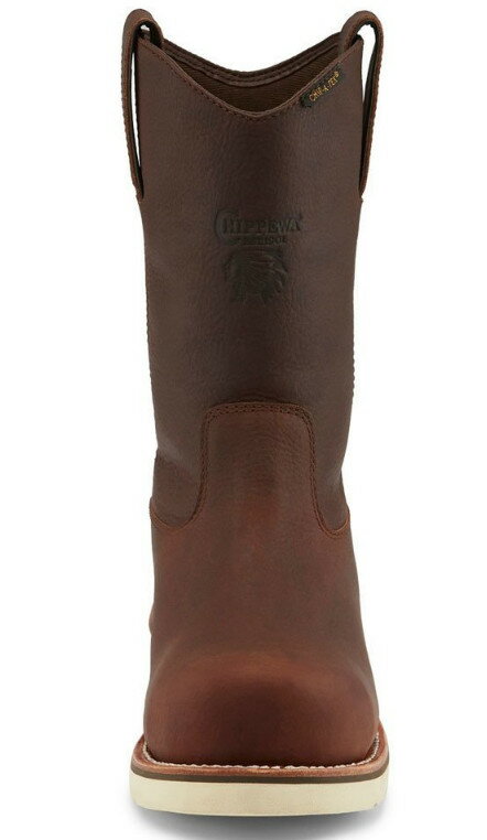 A9O) 25336 チペワ CHIPPEWA 11