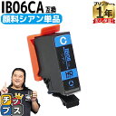 【8/20限定★最大P22倍】 全色顔料 エプソン用 IB06A メガネ IB06CA 顔料 シアン 単品 互換インクカートリッジ 機種: PX-S5010 内...