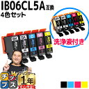 ★エントリーで5月ずっと+P10倍 【洗浄液】エプソン互換 IB06A メガネ IB06CL5A 洗浄液 + インク4色5本セット 洗浄カートリッジ 内容: I...