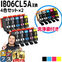★エントリーで5月ずっと+P10倍 【洗浄液】エプソン互換 IB06A メガネ IB06CL5A 洗浄液 + インク4色5本セット×2 洗浄カートリッジ 内容:...