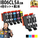 ★マラソン延長戦クーポン&エントリーP10倍 【全色顔料】 エプソン用 IB06A メガネ IB06CL5A 顔料 4色5本セット+ブラック2本 計7本 互換イ...