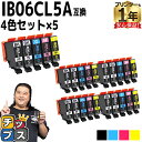 ★エントリーで最大P23倍 全色顔料 エプソン用 IB06A メガネ IB06CL5A 顔料 4色5本セット×5 計25本 互換インクカートリッジ 機種: PX-S5010 内容: IB06KA IB06CA IB06MA IB06YA