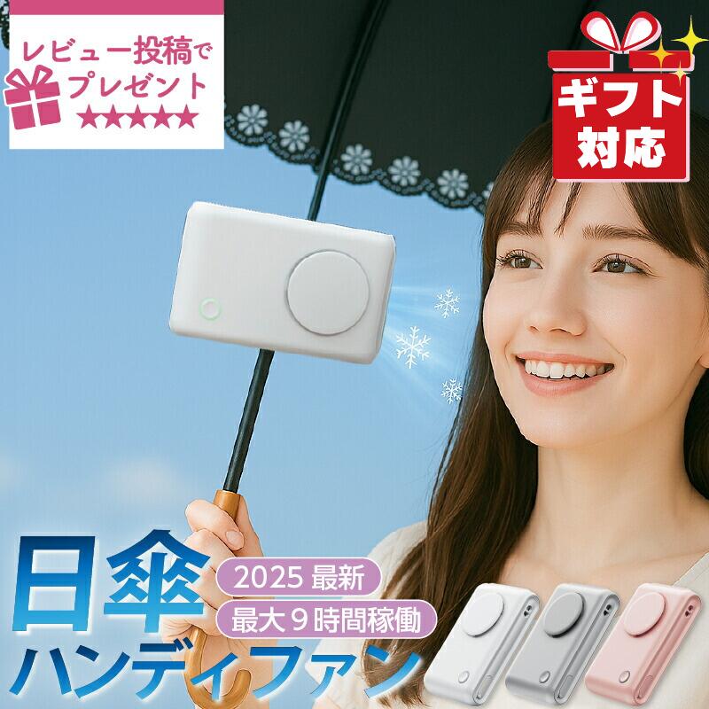 【ブラックフライデー開催★P最大24